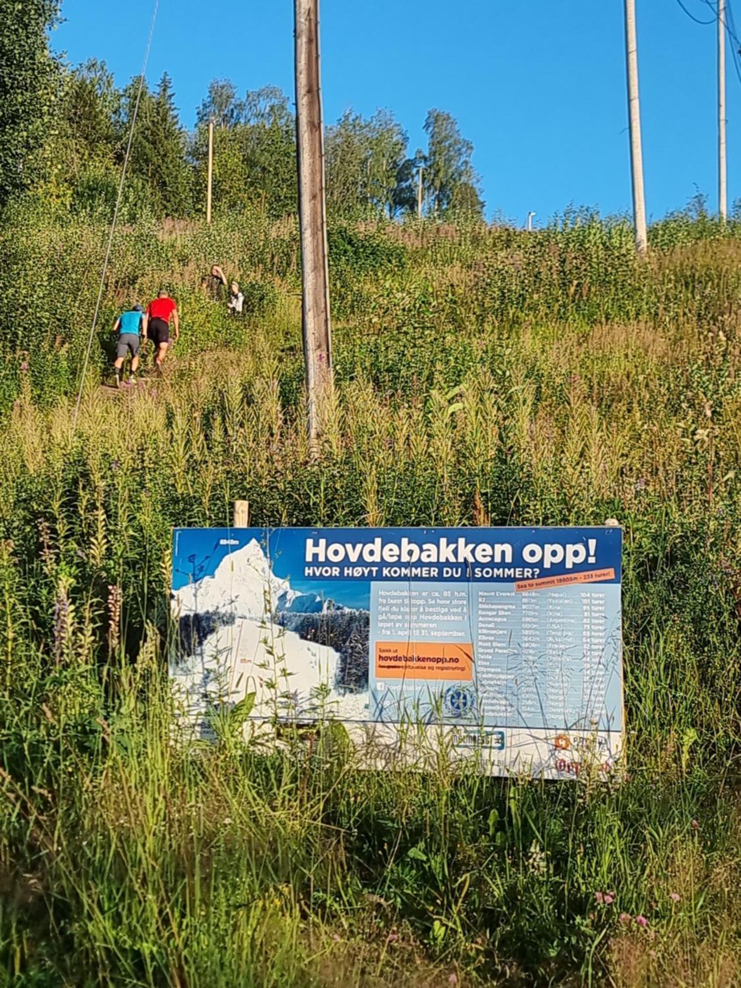 Gjovik Hovdetun Hostel מראה חיצוני תמונה